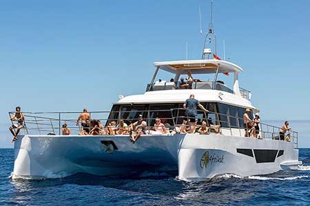 Exclusieve Katamaraan Boot Morgens Cruise Gran Canaria Boat Trips 2026
