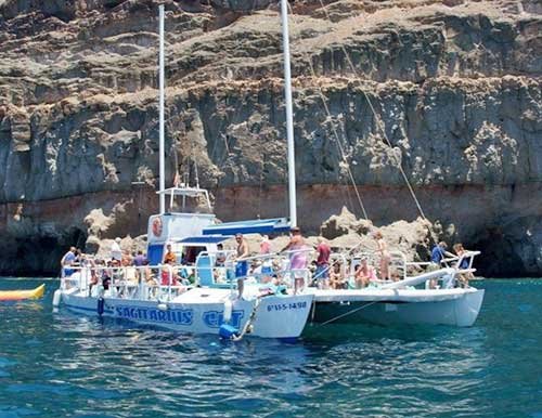 Dagelijkse Catamaran Dolfijn zoekende Cruise