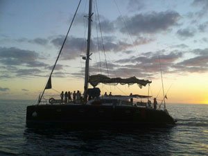 Dolfijn Playa Catamaran Gran Canaria Boat Trips 2026