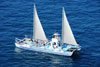 Dagelijkse Catamaran Dolfijn zoekende Cruise